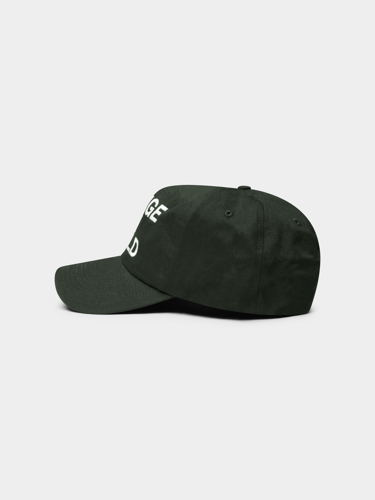 Change the World 5 Panel Hat