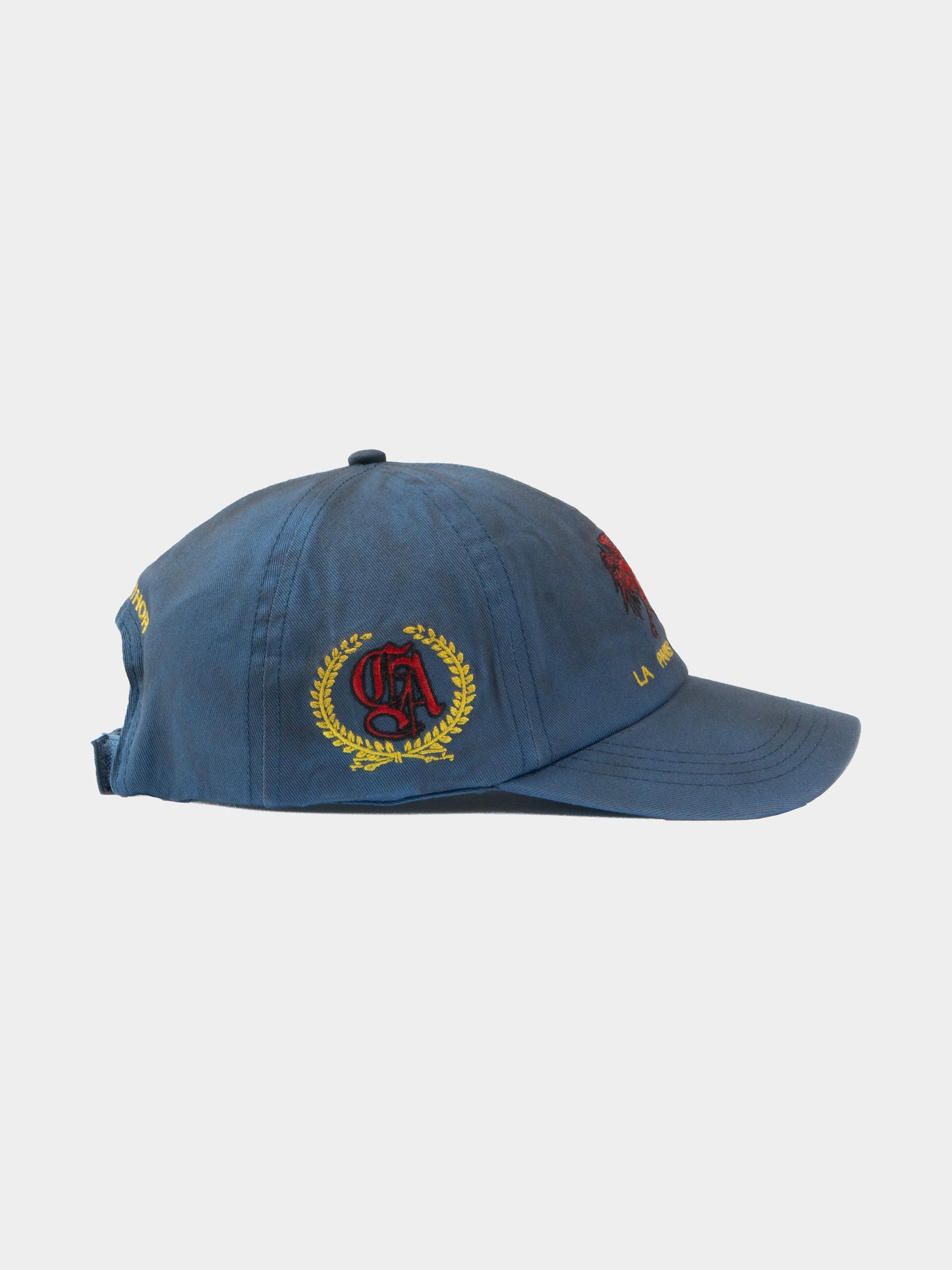 Fledge Baseball Hat